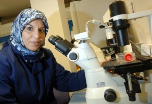 Naila Rabbani, PhD